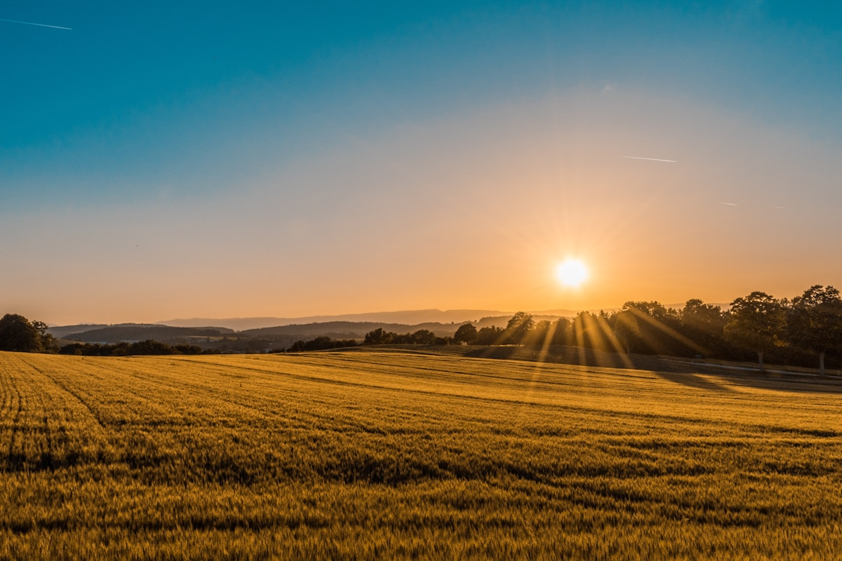Dawn Awakening